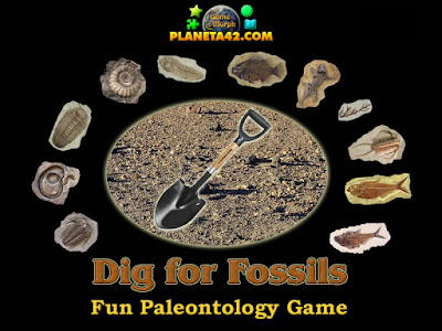 Dig for Fossils