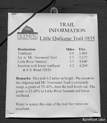 Little Quilcene Trail