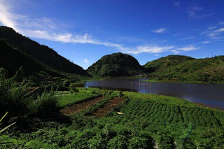 Desa wisata Sembungan Dieng Desa wisata Dieng,desa tertinggi di Jawa