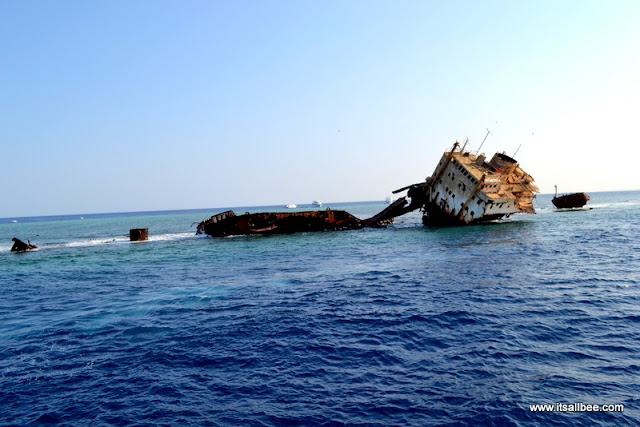 The Red Sea: Dive in to a magical world -Tiran Island Sharm El Sheik
