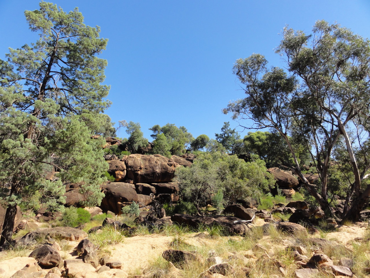 A&K Travels Gundabooka National Park