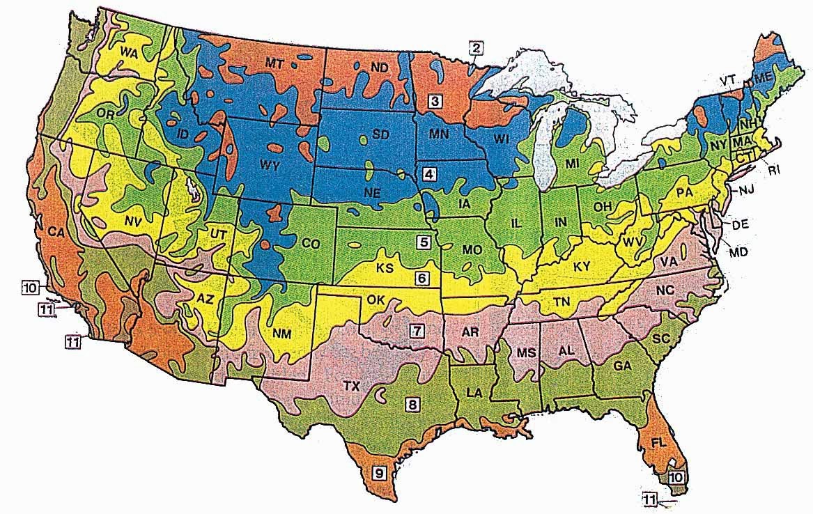 Любом климатической зоне. Зона USDA 3. Зона USDA 4. Карта зон зимостойкости USDA. Зона морозостойкости USDA 4.