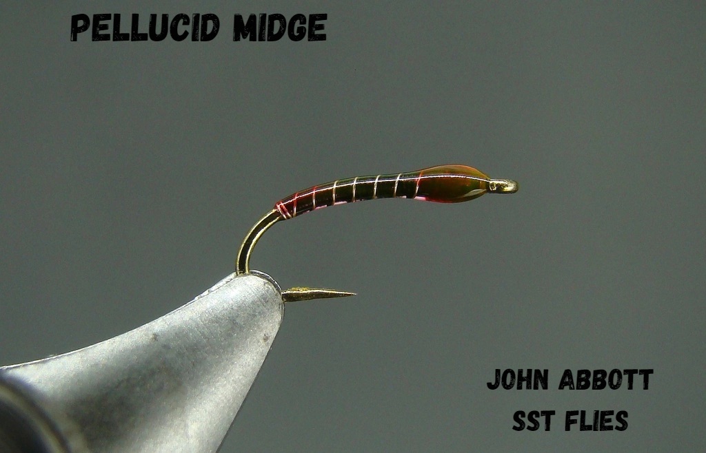 pellucid synonym pellucid synonym