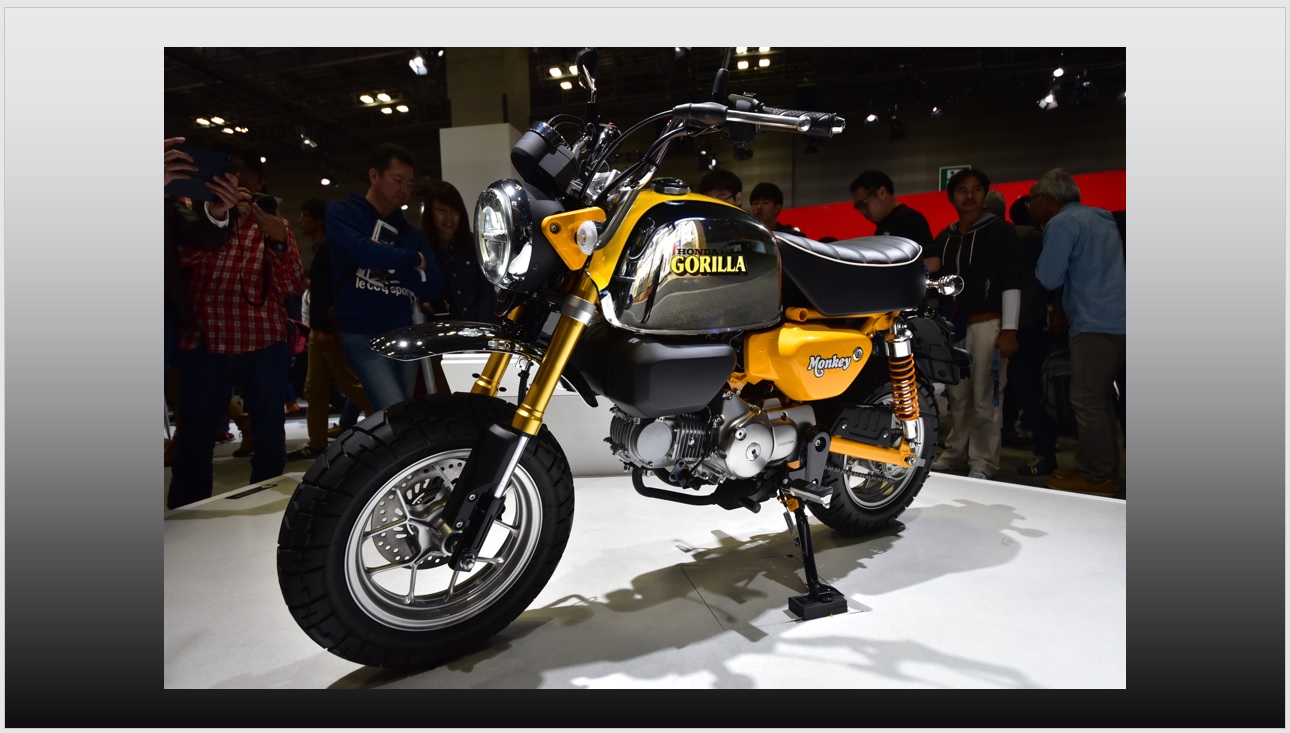 予約】 ゴリラ モンキー タンク ienomat.com.br