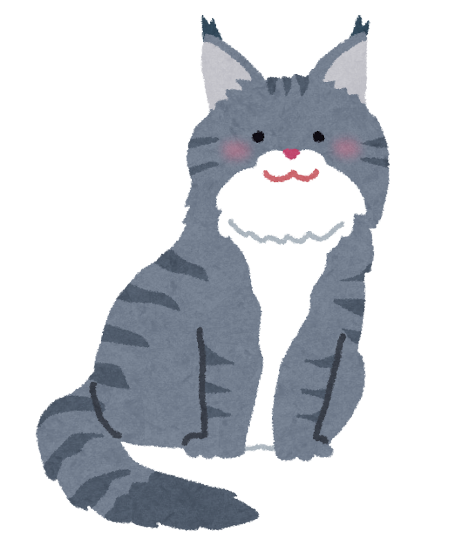 無料イラスト かわいいフリー素材集 メインクーンのイラスト 猫