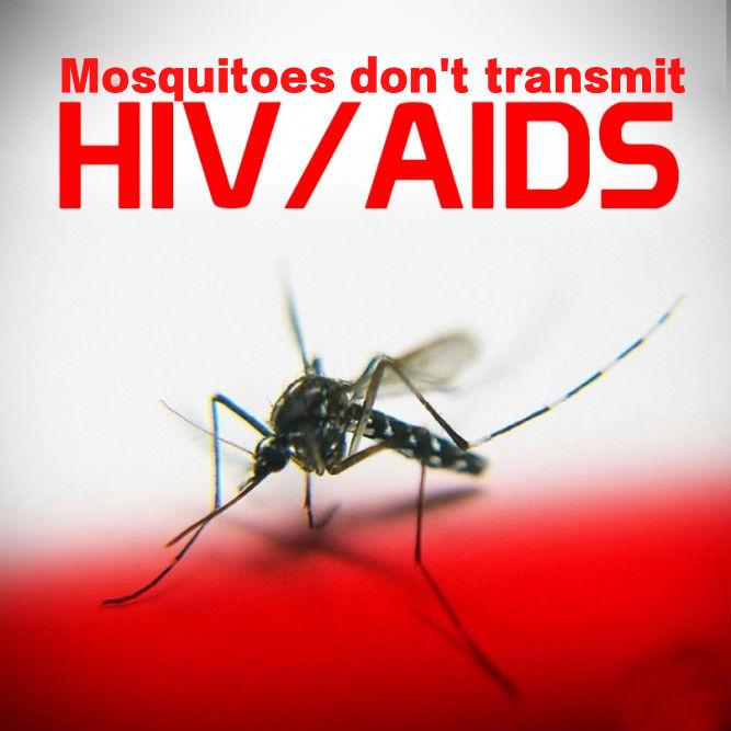 Health And Nutrition Care Tips Some interesting facts about mosquito