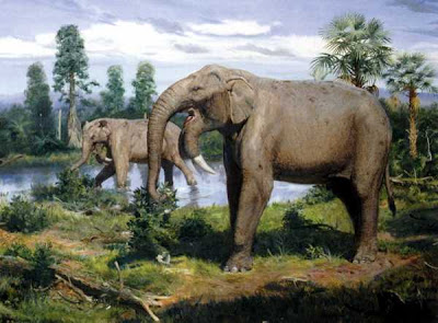 elefantes fosiles Deinotherium