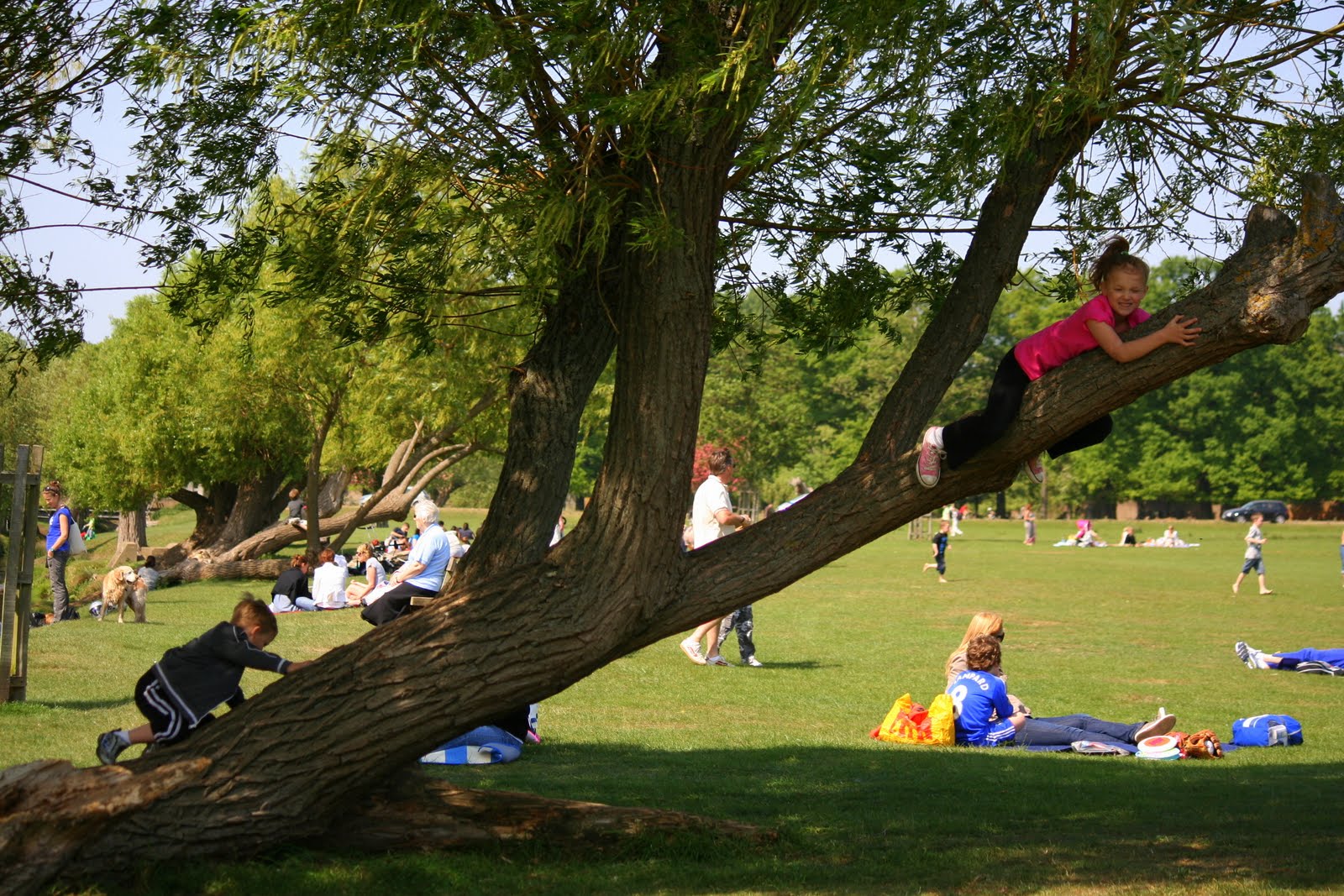 Pelatowski Family In London: A Picnic In Richmond Park