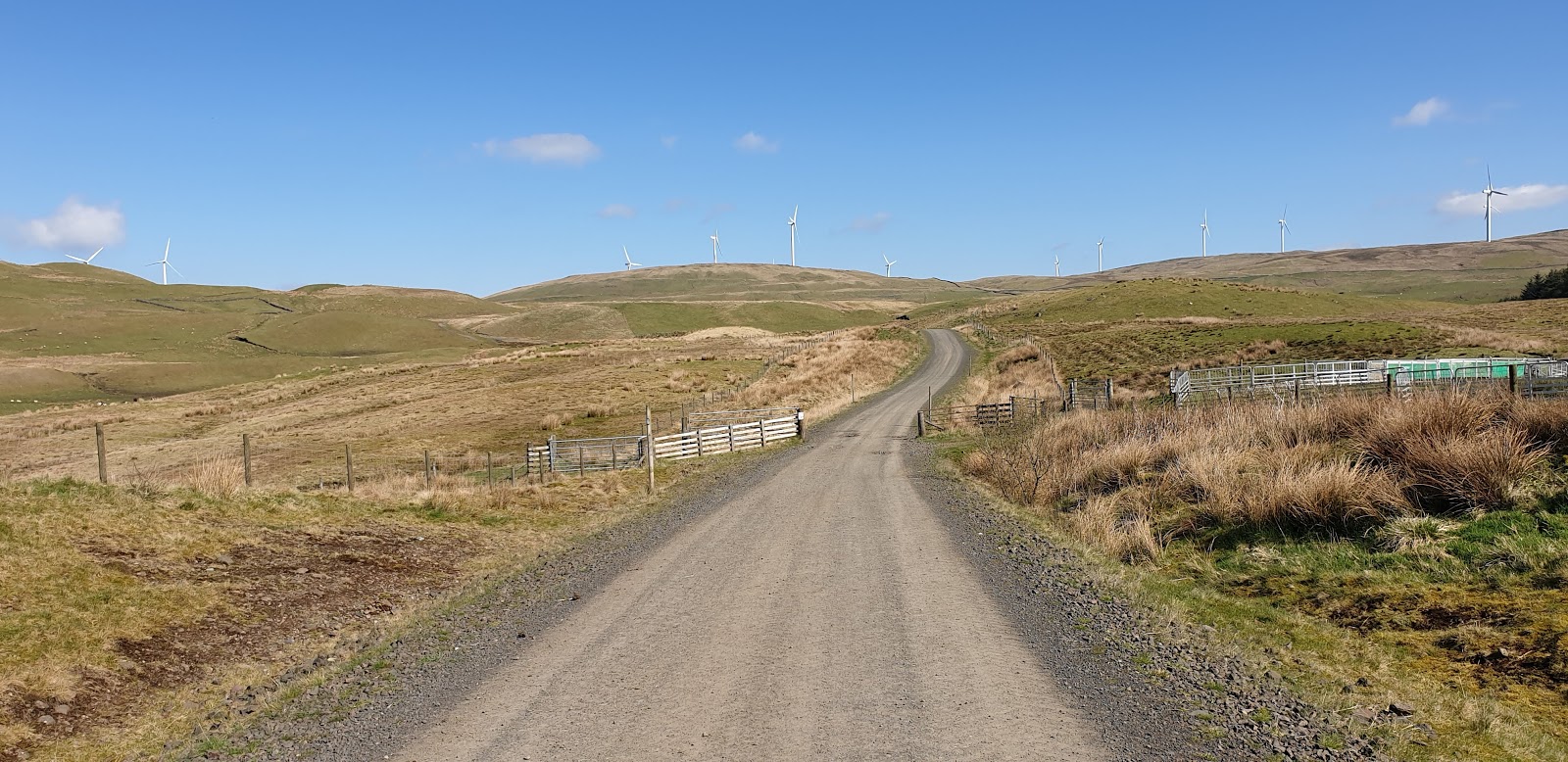 Neil's Hillwalking Exploits Cringate Law (Carron Valley)