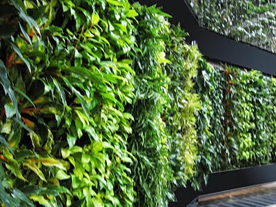 Vertical Garden System for internal and external walls of Commercial