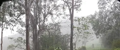 Soft Growing Green