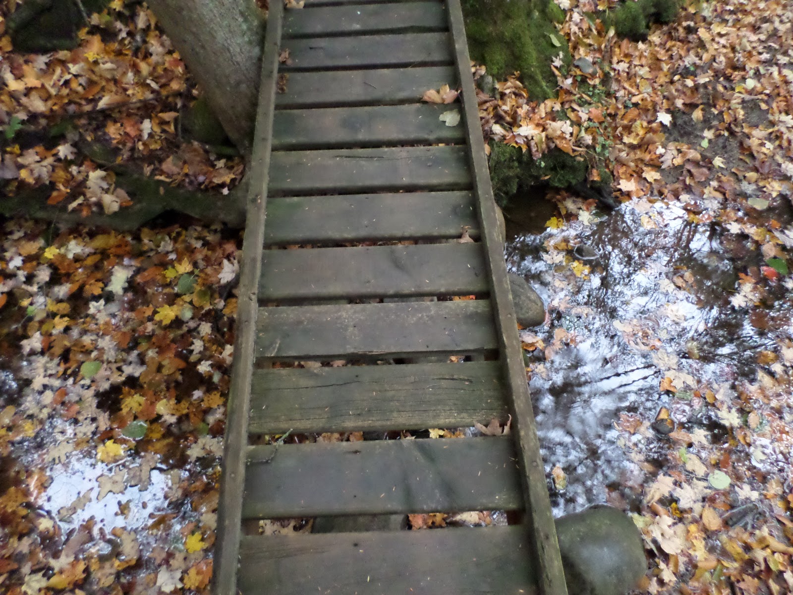 Mitten Tracks Murphy Lake State Game Area, part two Murphy Lake Rd