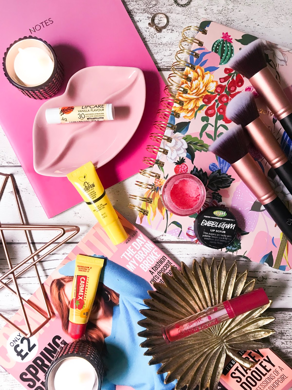 The Best Lip Balms For Dry Lips! [ Beauty Obsessed ]