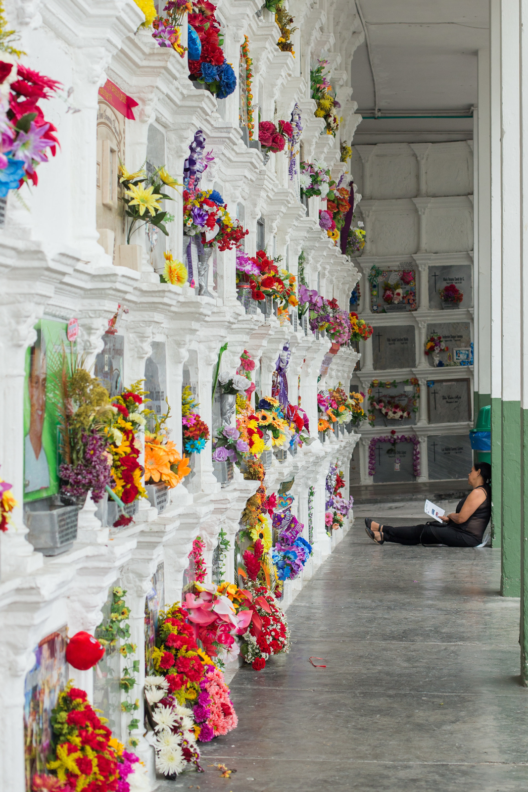 Red Iberoamericana de Cementerios Patrimoniales Flores para los