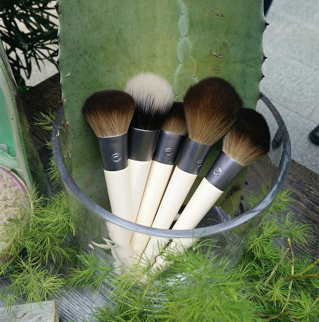 EcoTools High & Light