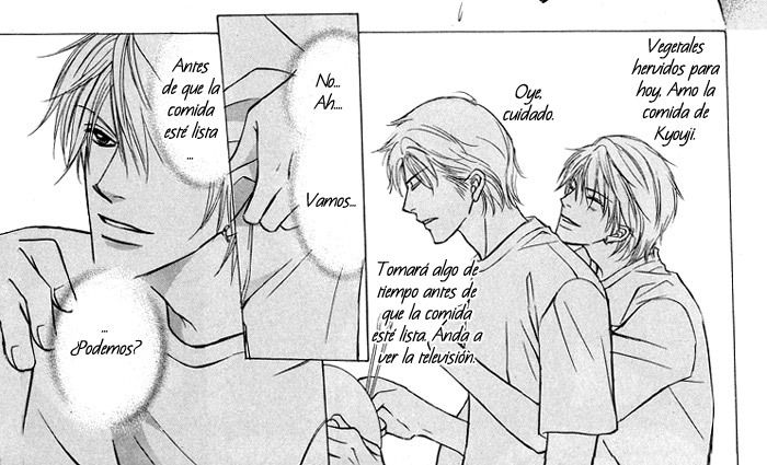 "The Dead Look So Terribly Dead When They're Dead.": Yaoi Mangá