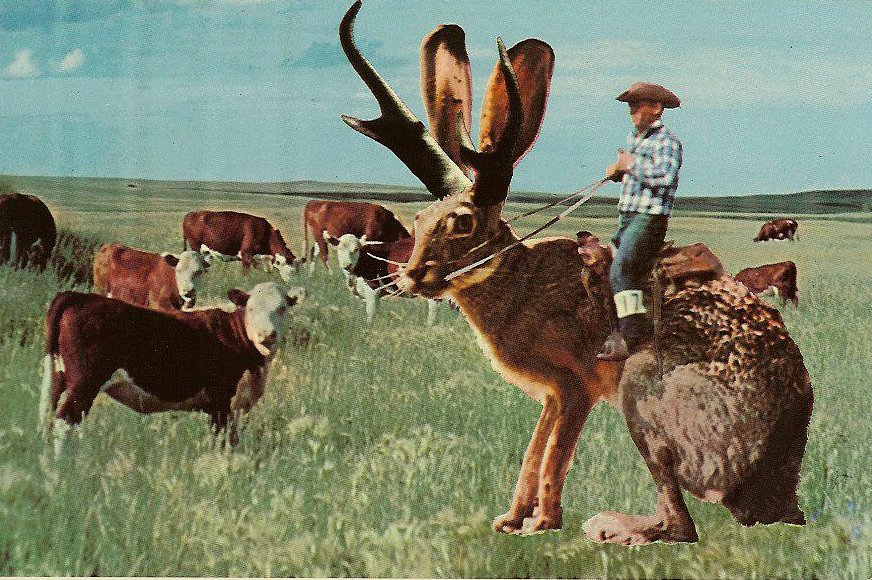 The Wonderful Creatures in Pop Culture(12): Jackalope! | GiocoMagazzino