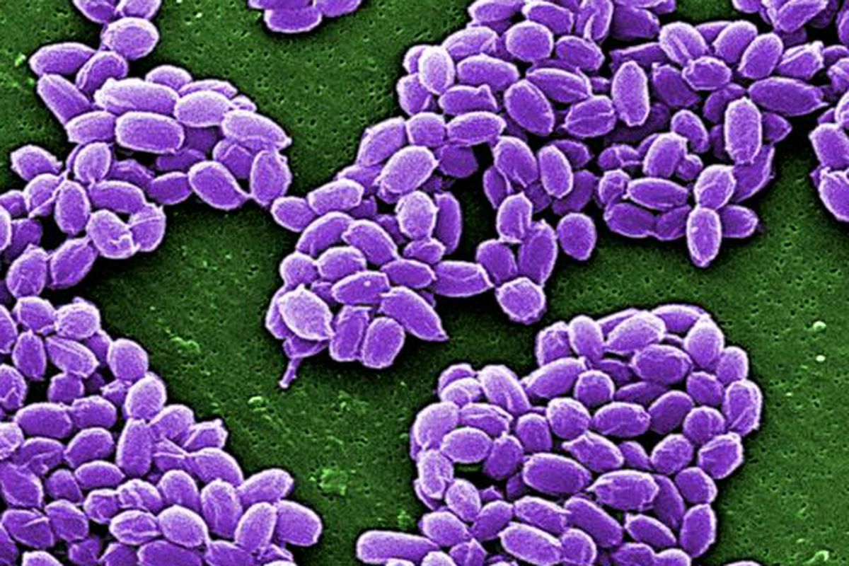 Why You Should Know about Aldous Huxley's Anthrax Bombs Today