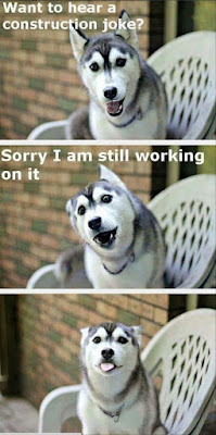 Funny dog pictures : Want to hear a good Joke