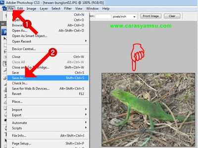 gambar misalnya ukuran gambar terlalu besar Cara Croping Foto di Adobe Photoshop CS3/CS4/CS5/CS6