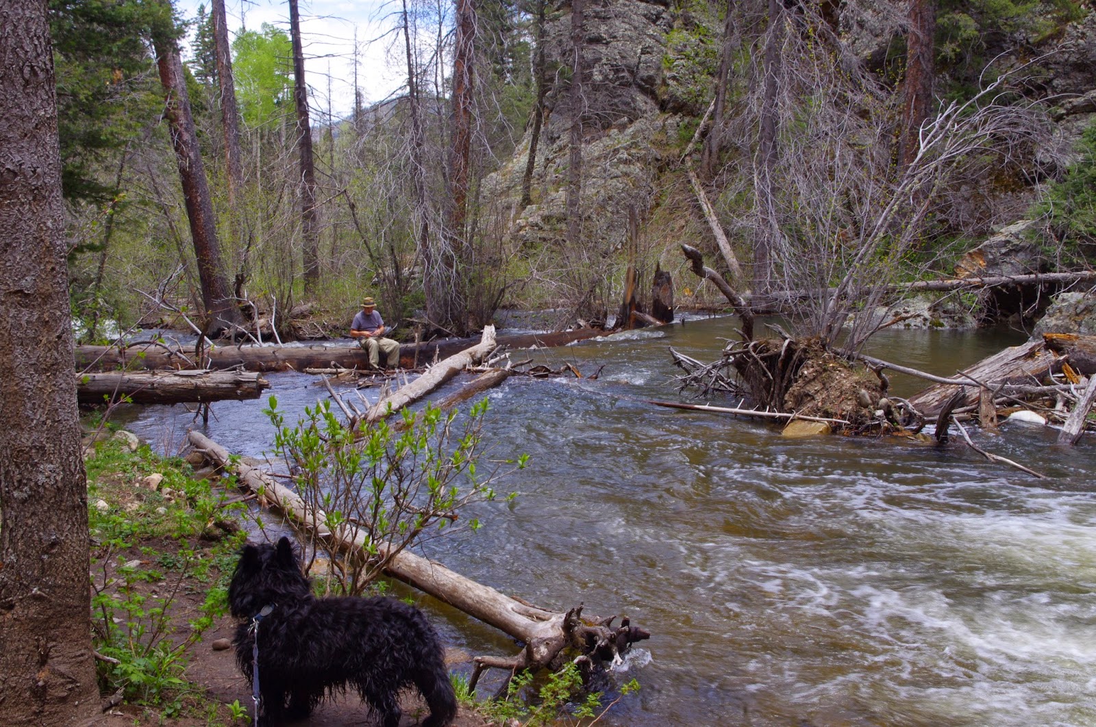 Southern New Mexico Explorer Rio Santa Barbara (FT 25 and FT 36
