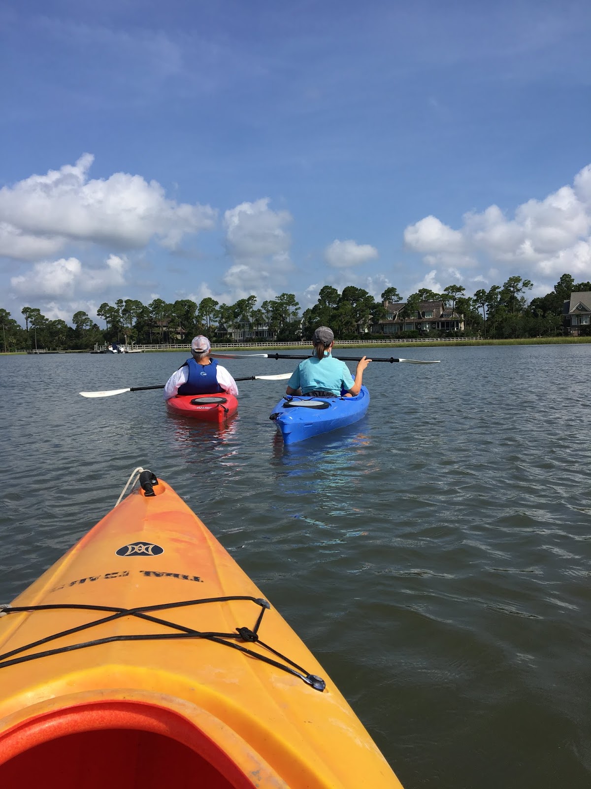 A Kiawah Kayaking Adventure Magnolia & Main