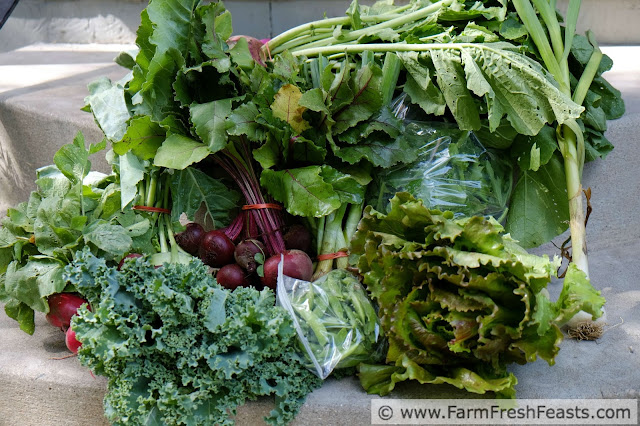 the contents of a typical early Spring farm share box