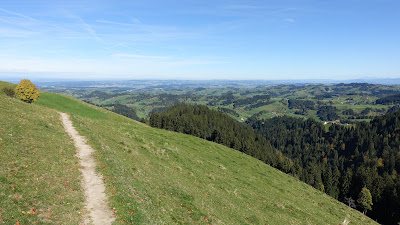 Weg bei Ober Scheidegg auf gut 1200 m Weg bei Ober Scheidegg auf gut 1200 m