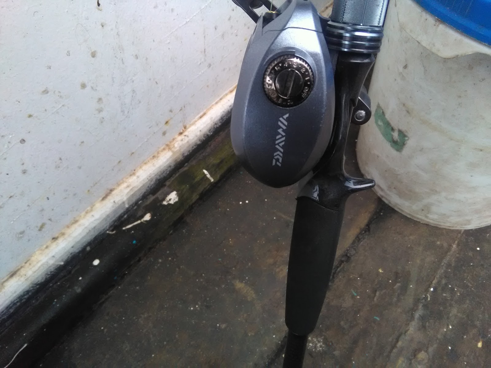 daiwa prorex 300