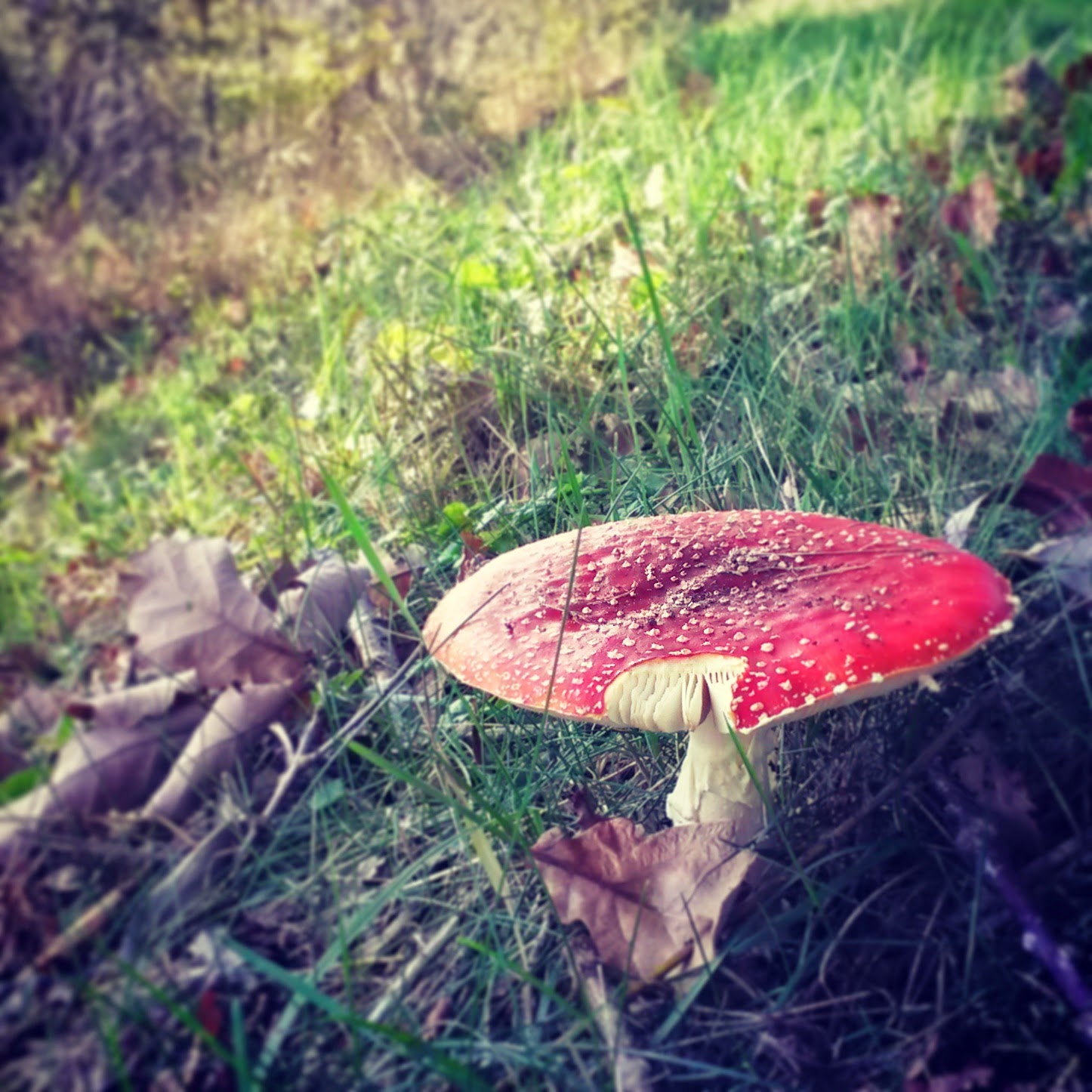 Door de ogen van... Geen blad voor de mond nemen