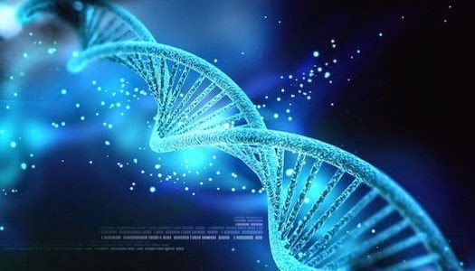 ADN de todos los seres vivos de la Tierra