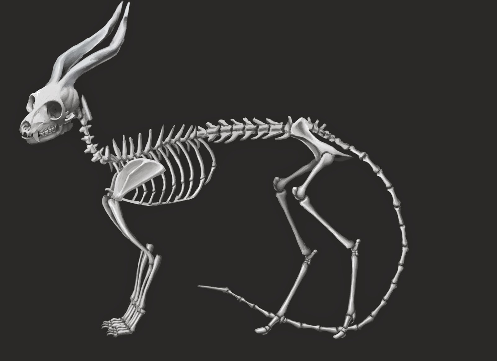 Drawing for Concept Artists Research and Development Creature Design