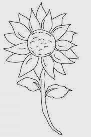 Gambar Mewarnai Bunga Matahari Lucu Karikatur