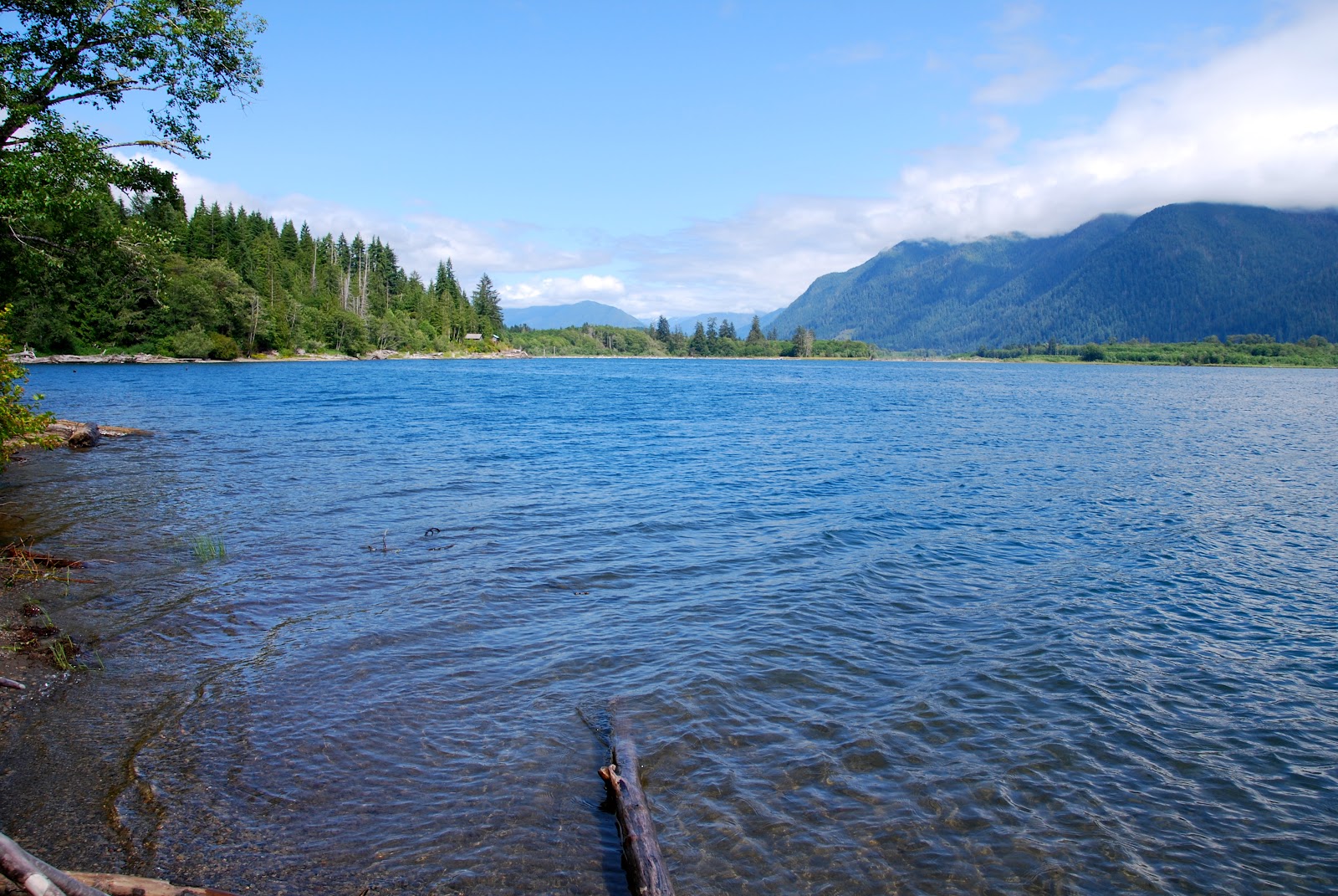 Wanderlust Traveler Lake Quinault, Washington