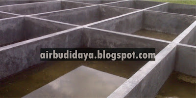 kolam beton untuk ikan nila