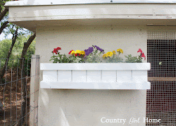 coop chicken planter makeover boxes wasn barn doing before