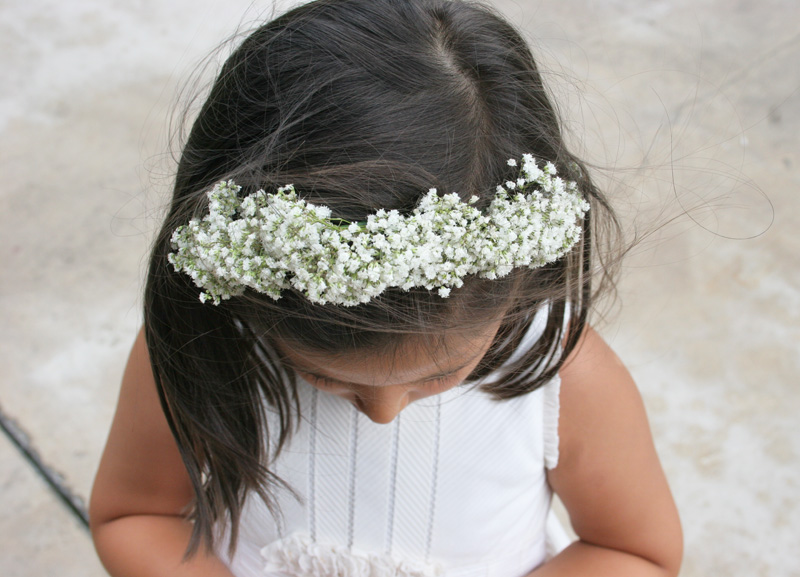 Diy diadema de paniculata para