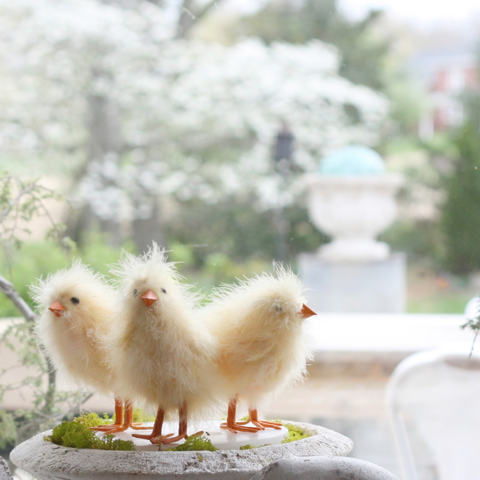 erin&rsquo;s art and gardens: easter dogwoods blooming