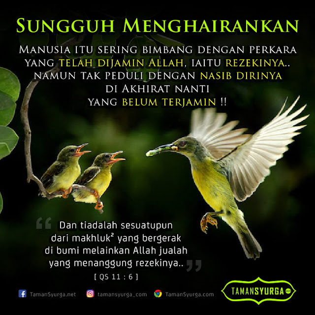 Rezeki Jaminan Allah
