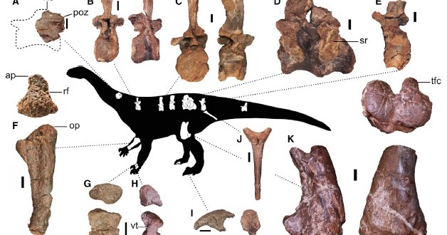 Equatorial Minnesota Ledumahadi mafube