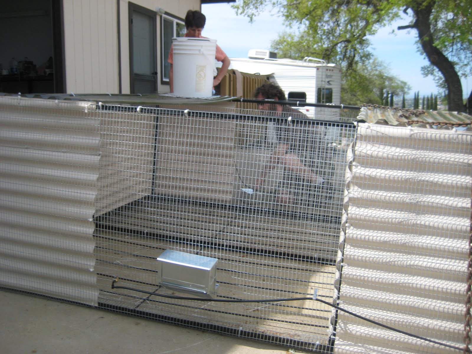 Rabbits/Meat/Hunting and more Our Rabbit Tractors