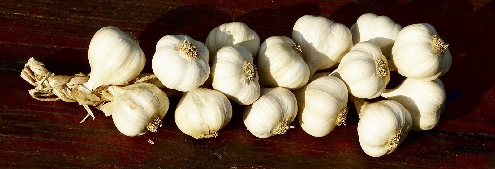 Australian Garlic VS Chinese Garlic