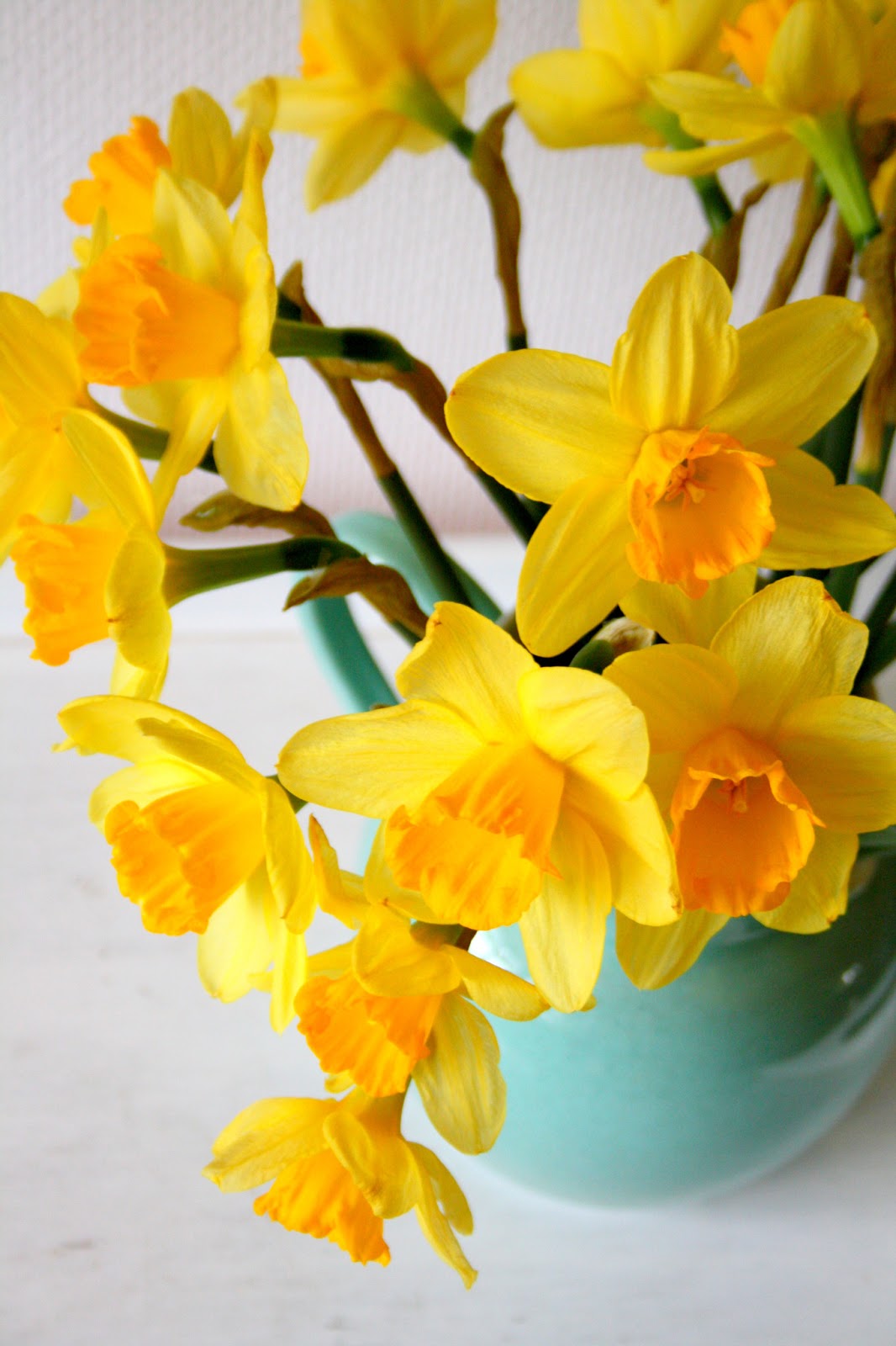 Madelief A string of daisies