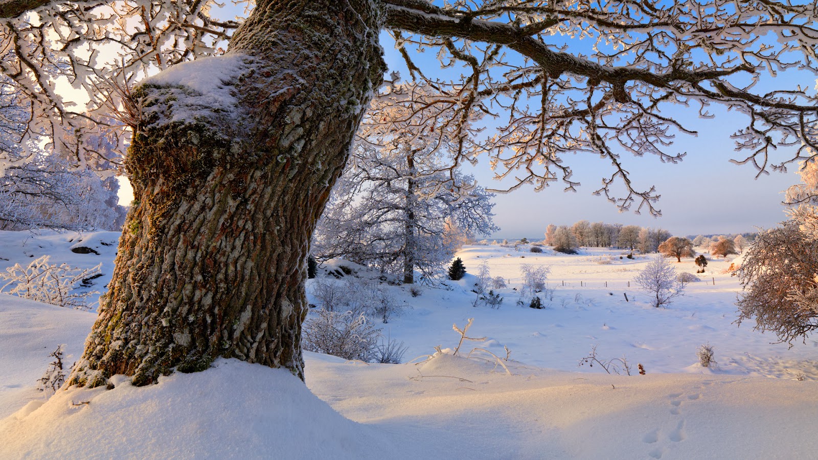Snow Desktop Backgrounds Really nice Snow Desktop Backgrounds Really nice