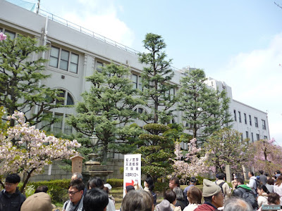 造幣局桜の通り抜け 造幣局桜の通り抜け