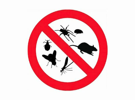 Pest Control Auckland