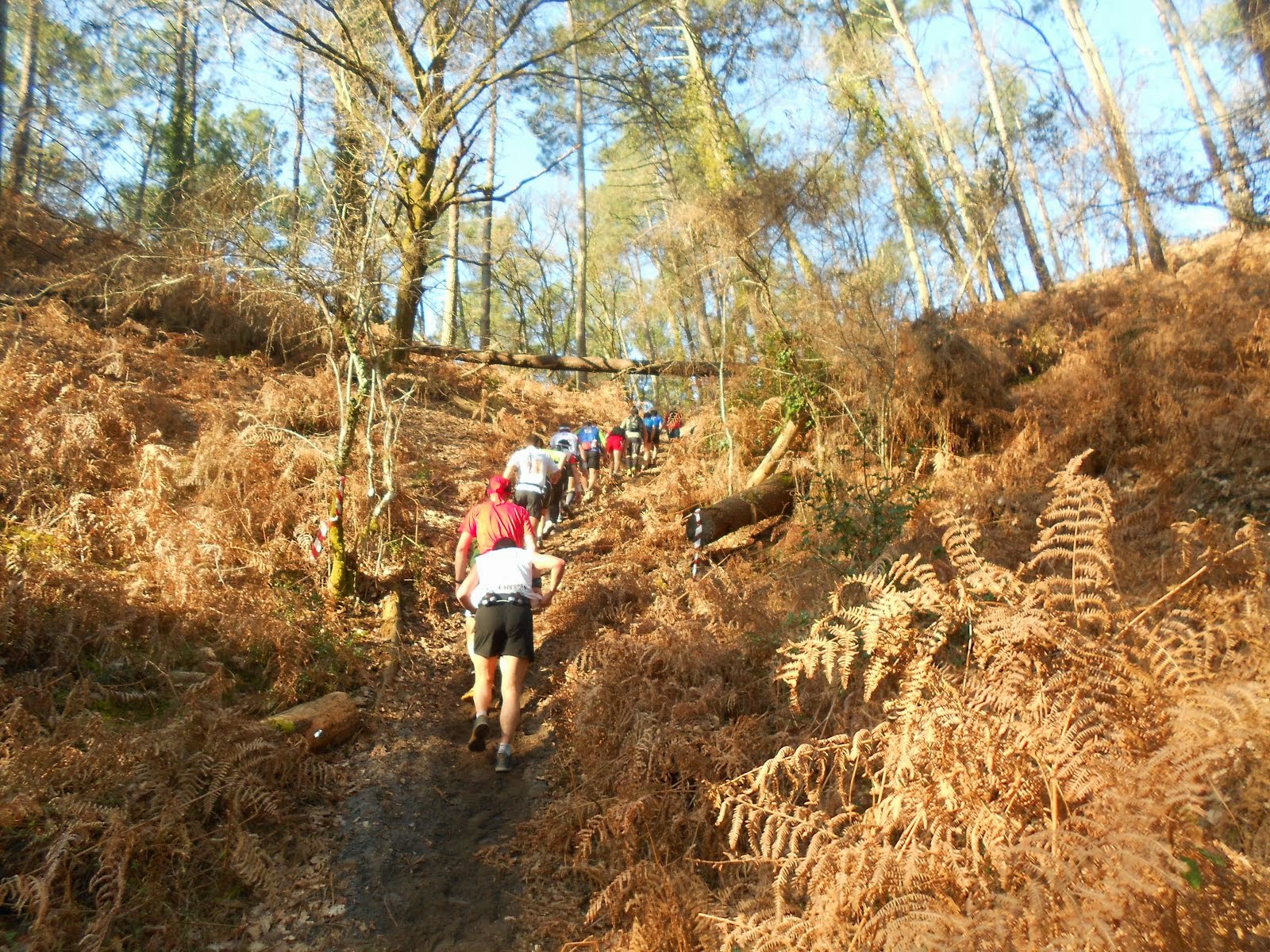 Trail du Marensin 2012