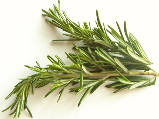 Curly Hair and Stuff: The Benefits of Rosemary Oil