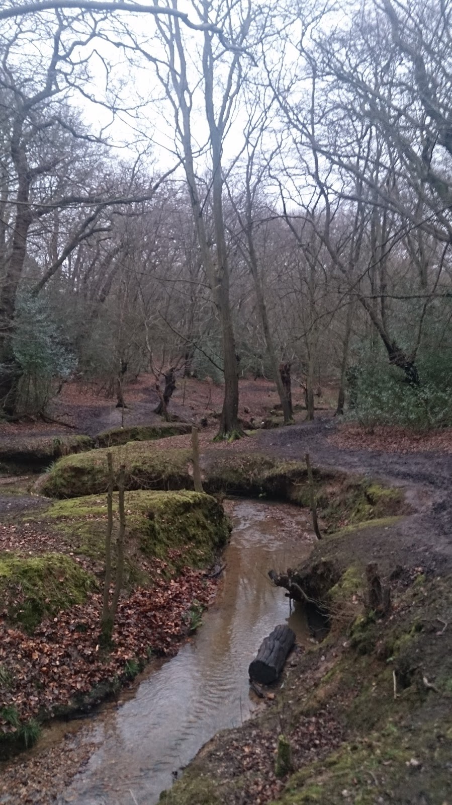 Unique Tours UK On Dick Turpin’s trail a tramp in the woods to