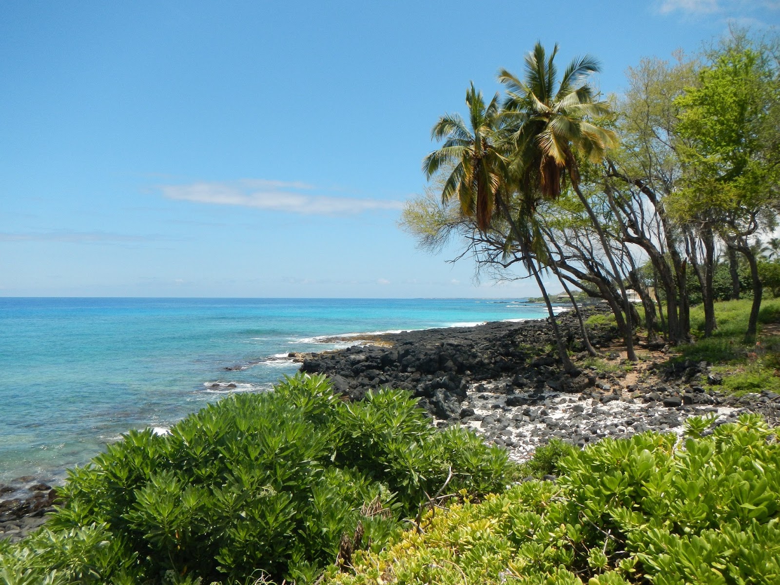 mostly harmless Kona/White Sands Beach Hawaii